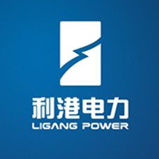 ligangdianli